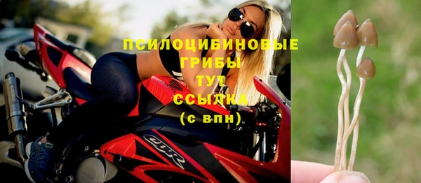 индика Медногорск