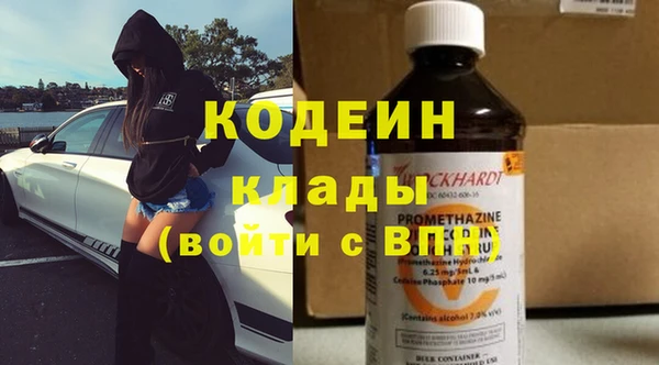 индика Медногорск