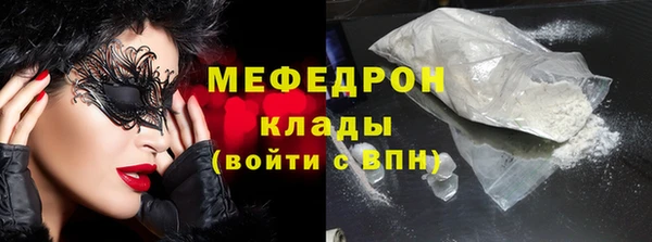 индика Медногорск