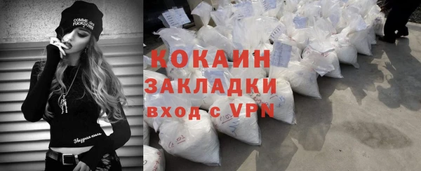 индика Медногорск