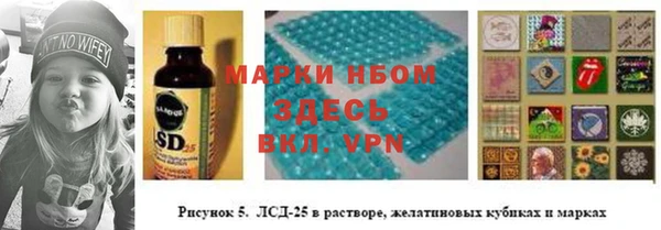 PSILOCYBIN Мегион