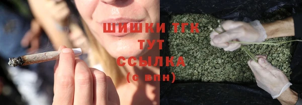 индика Медногорск
