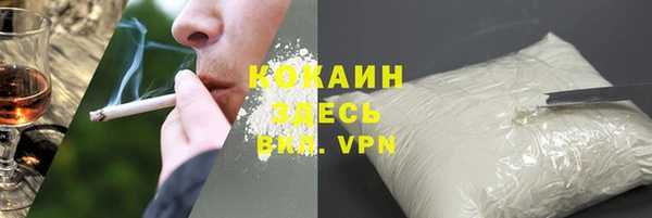 индика Медногорск