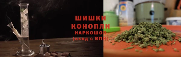 индика Медногорск