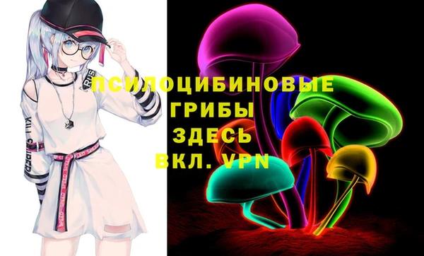 индика Медногорск
