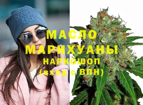 индика Медногорск